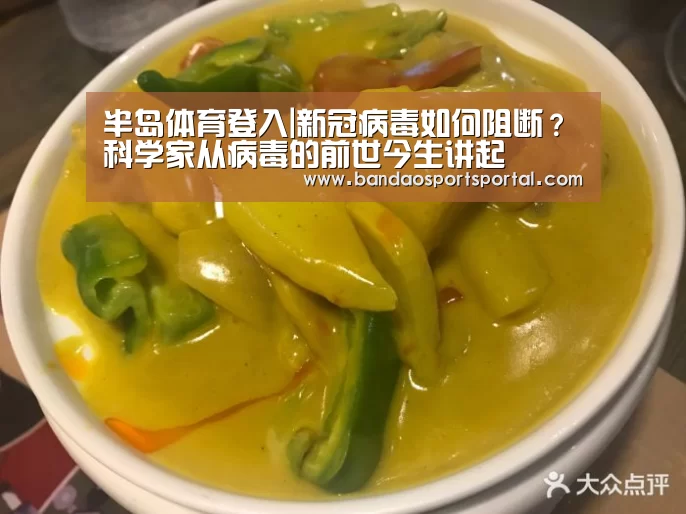 半岛体育登入|新冠病毒如何阻断?科学家从病毒的前世今生讲起(图1) 半岛体育app
