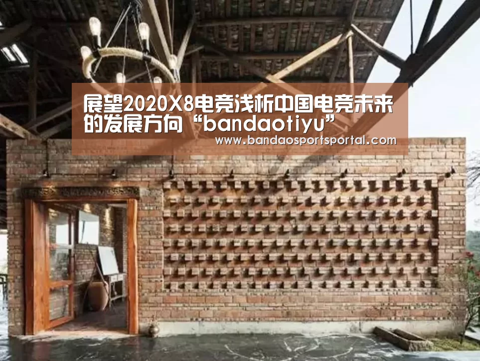 展望2020X8电竞浅析中国电竞未来的发展方向“bandaotiyu”(图2) 半岛体育app