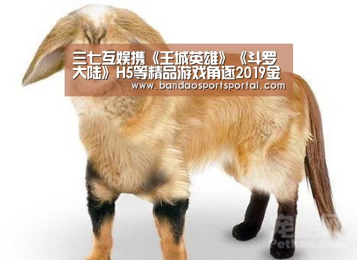 三七互娱携《王城英雄》《斗罗大陆》H5等精品游戏角逐2019金翎奖“半岛体育app官网”(图2) 半岛体育app官网