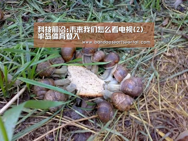 科技前沿:未来我们怎么看电视(2)_半岛体育登入(图4) 科技前沿:未来我们怎么看电视(2)_半岛体育登入(图4)