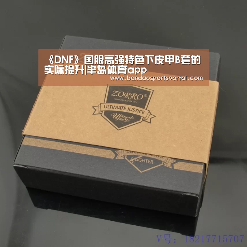 《DNF》国服高强特色下皮甲B套的实际提升|半岛体育app(图3) 半岛体育登入