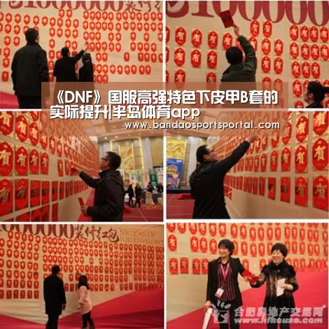《DNF》国服高强特色下皮甲B套的实际提升|半岛体育app(图1) 半岛体育app官网