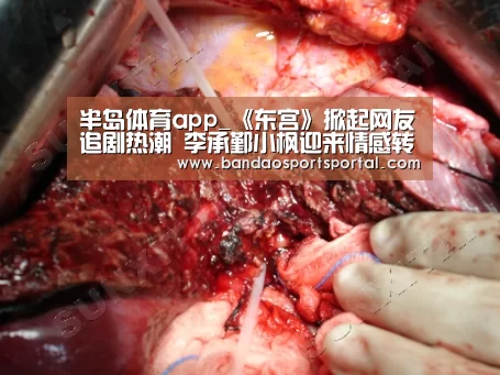 半岛体育app_《东宫》掀起网友追剧热潮 李承鄞小枫迎来情感转折点(图4) 半岛体育app