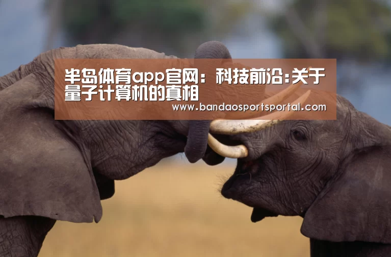 半岛体育app官网：科技前沿:关于量子计算机的真相(图1)