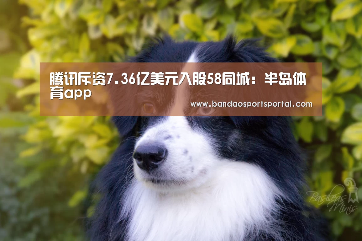 腾讯斥资7.36亿美元入股58同城:半岛体育app(图3) 半岛体育app