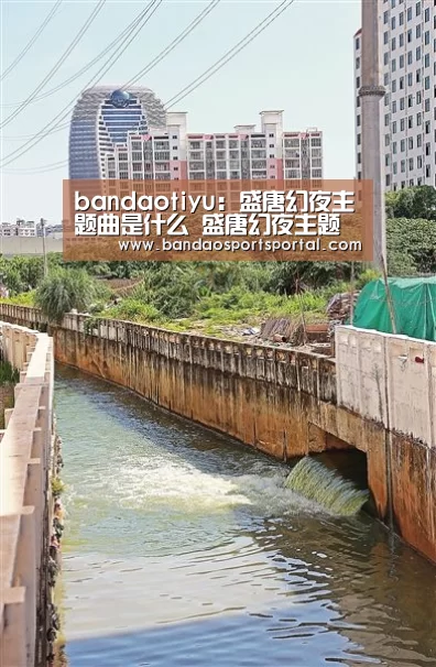 半岛体育app