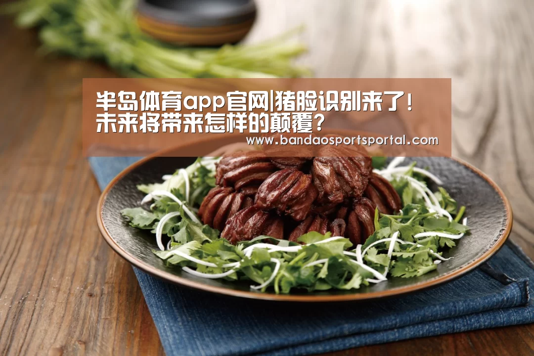 半岛体育app官网|猪脸识别来了! 未来将带来怎样的颠覆?(图1) 半岛体育app