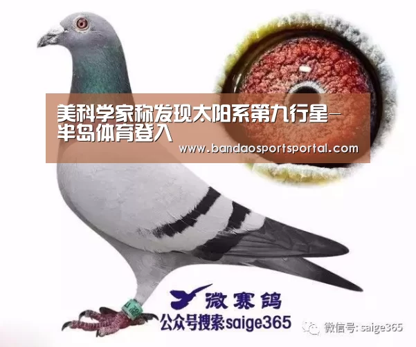 美科学家称发现太阳系第九行星-半岛体育登入(图3) 美科学家称发现太阳系第九行星-半岛体育登入(图3)
