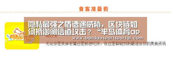 隐私最强之盾遭遇威胁,区块链如何抵御侧信道攻击?“半岛体育app”(图1) 半岛体育app官网