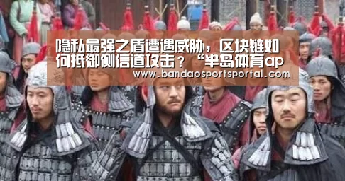 隐私最强之盾遭遇威胁,区块链如何抵御侧信道攻击?“半岛体育app”(图2) 半岛体育app官网