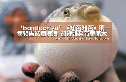 ‘bandaotiyu’《知否知否》第一集预告诚意满满 却被嫌弃节奏感太慢(图4) 半岛体育app