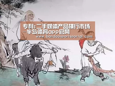 专利:二手媒体产品横行市场-半岛体育app官网(图3) 半岛体育app