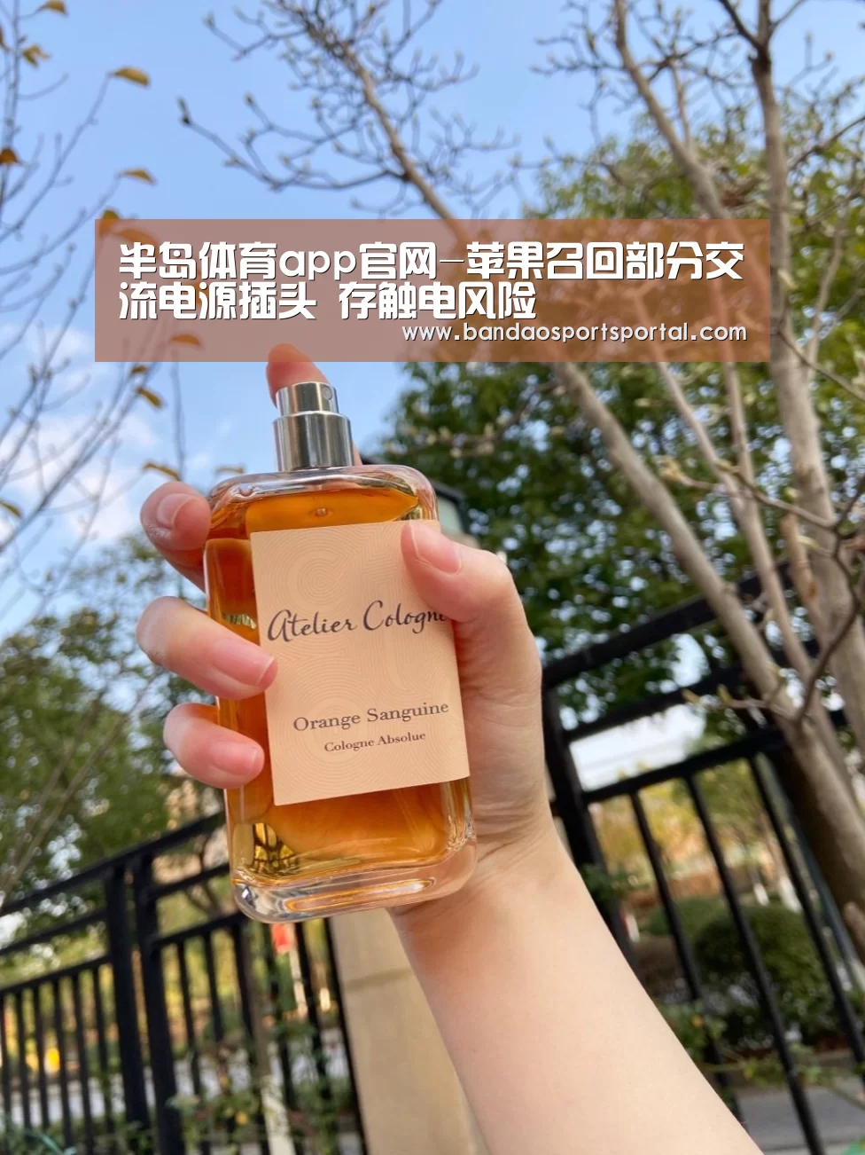 半岛体育app官网-苹果召回部分交流电源插头 存触电风险(图2) 半岛体育app