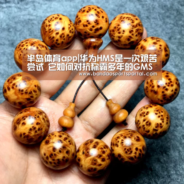 半岛体育app|华为HMS是一次艰苦尝试 它如何对抗称霸多年的GMS?(图2) 半岛体育app