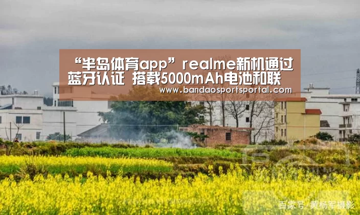 “半岛体育app”realme新机通过蓝牙认证 搭载5000mAh电池和联发科X20(图2) 半岛体育app