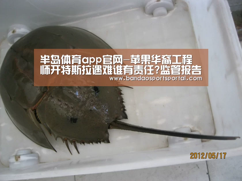 半岛体育app官网-苹果华裔工程师开特斯拉遇难谁有责任?监管报告公布(图3) 半岛体育app官网