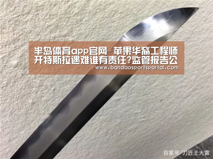 半岛体育app官网-苹果华裔工程师开特斯拉遇难谁有责任?监管报告公布(图1) 半岛体育app
