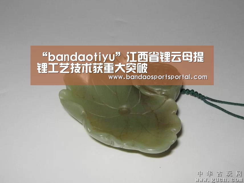 “bandaotiyu”江西省锂云母提锂工艺技术获重大突破(图1) “bandaotiyu”江西省锂云母提锂工艺技术获重大突破(图1)