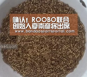 半岛体育app